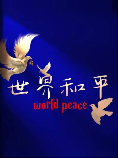 集團(tuán)董事長(zhǎng)陳偉其：構(gòu)建韌勁系統(tǒng)——從印巴沖突說(shuō)開